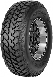 Roadian MT