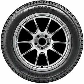 iG65 IceGuard Stud