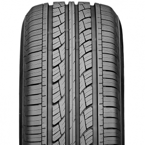 Roadian 542