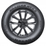 Roadian HTX 2