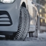 Snowproof 1