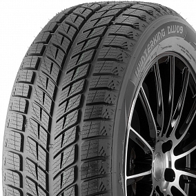 Автошина 315/35 R20 106T DOUBLESTAR DW09 WinterKing