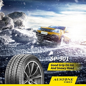 Автошина 165/70 R14 85T XL AUSTONE SP-901 Skadi