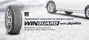 WinGuard WinSpike 