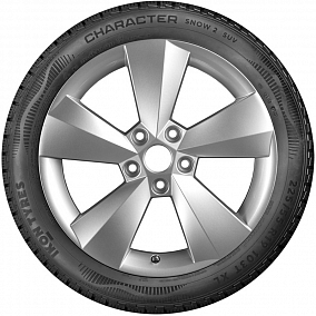 Автошина 235/65 R17 108R XL IKON <Nokian> Character Snow 2 SUV