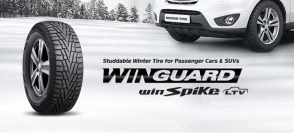 WinGuard WinSpike LTV