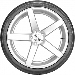 Автошина 255/55 R20 110W XL DELINTE DS8 Desert Storm II