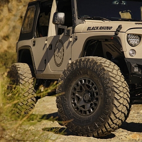 Автошина 295/70 R17 121/118Q MAXXIS MT-772 Razr