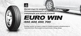 Автошина 225/65 R16C 112/110R ROADSTONE Euro-Win 650