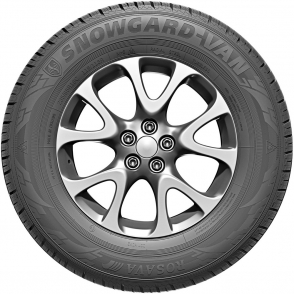 SnowGard-Van