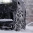 Snowproof 2