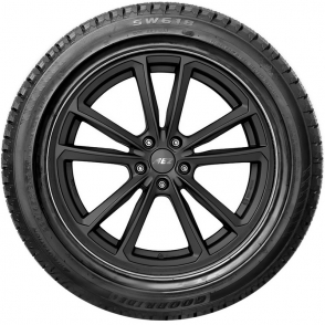 SW618