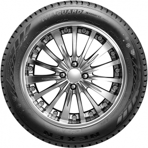WinGuard Snow'G WH2