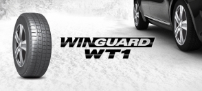 WinGuard WT1