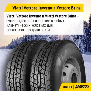 V-524 Vettore Inverno