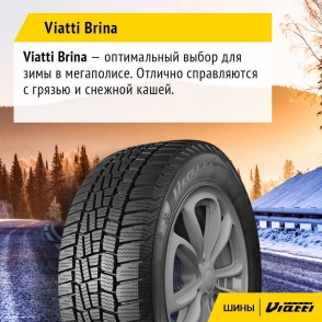 V-521 Brina
