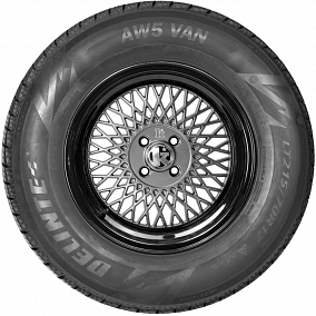 Автошина 225/65 R16С 112/110S DELINTE AW5 Van