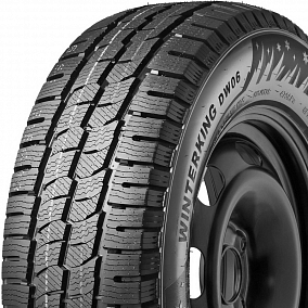 Автошина 205/65 R16C 107/105R DOUBLESTAR DW06 WinterKing