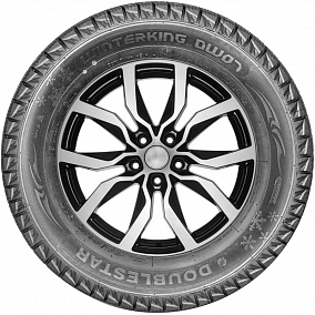 Автошина 205/55 R16 91T DOUBLESTAR DW07 WinterKing
