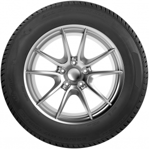 All Season SUV