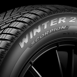 Scorpion Winter 2
