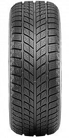 Автошина 315/35 R20 106T DOUBLESTAR DW09 WinterKing