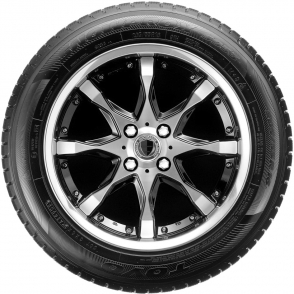 Snowprox S953